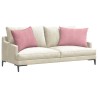 Coussins de canapé 2 pcs Rose 70 x 50 cm 521668521668