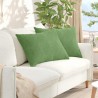 Coussins de canapé 2 pcs Vert clair 70 x 50 cm 521669521669