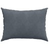 Coussins de canapé 2 pcs Gris foncé 70 x 50 cm 521671521671
