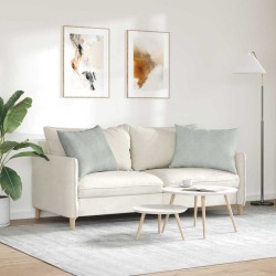 Coussins de canapé 2 pcs Gris clair 70 x 50 cm 521672521672