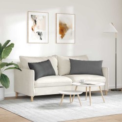 Coussins de canapé 2 pcs Gris foncé 80 x 40 cm tissu 521676521676