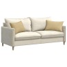 Coussins de canapé 2 pcs Vert gris 60 x 40 cm 521685521685