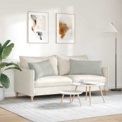 Coussins de canapé 2 pcs Gris clair 80 x 40 cm tissu 521690521690