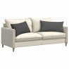 Coussins de canapé 2 pcs Gris foncé 80 x 40 cm 521691521691