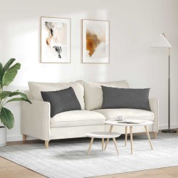Coussins de canapé 2 pcs Gris foncé 80 x 40 cm 521691521691
