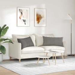 Coussins de canapé 2 pcs Gris clair 80 x 40 cm 521695521695