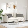 Coussins de canapé 2 pcs Gris clair 80 x 40 cm 521695521695