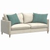 Coussins de canapé 2 pcs Vert Mer 70 x 50 cm 521706521706