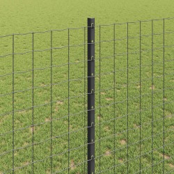 Poteau de clôture. 5 pcs Gris 140 cm Acier 521717521717
