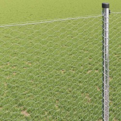 Clôture hexagonale Argenté 0,4 x 100 m Acier galvanisé 521833521833