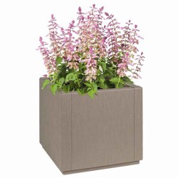 Boîte de fleurs de jardin Marron Clair 36 x 36 x 35 cm PP 522003522003