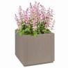 Boîte de fleurs de jardin Marron Clair 36 x 36 x 35 cm PP 522003522003