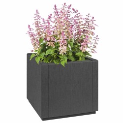 Boîte de fleurs de jardin Gris foncé 36 x 36 x 35 cm PP 522004522004
