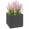 Boîte de fleurs de jardin Gris foncé 36 x 36 x 35 cm PP 522004522004