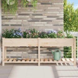 Cache-pot de jardin avec étagère Beige 203,5 x 53 x 76,5 cm 522008522008