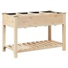 Cache-pot de jardin avec étagère Beige 115 x 59 x 76,5 cm 522014522014