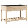 Cache-pot de jardin avec étagère Beige 115 x 59 x 76,5 cm 522073522073