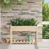 Cache-pot de jardin avec étagère Beige 155 x 59 x 76,5 cm 522074522074