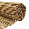 Clôture en bambou Naturel 500 x 180 cm Bambou 522076522076