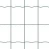 Clôture Euro Vert 0,8 x 25 m Fer revêtu de PVC 522483522483