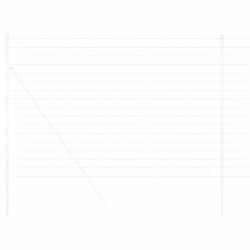 Clôture Euro 1,6 x 10 m Fer revêtu de PVC 522497522497