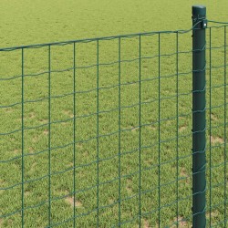 Clôture Euro Vert 0,8 x 10 m Fer revêtu de PVC 522522522522