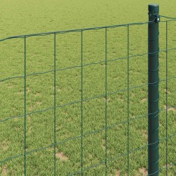 Clôture Euro Vert 0,4 x 50 m Fer revêtu de PVC 522541522541