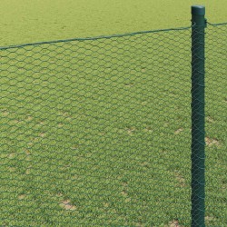 Clôture hexagonale Vert 1,5 x 10 m PVC 522660522660