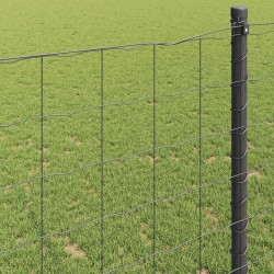 Clôture Euro Gris 0,4 x 10 m Fer revêtu de PVC 522684522684