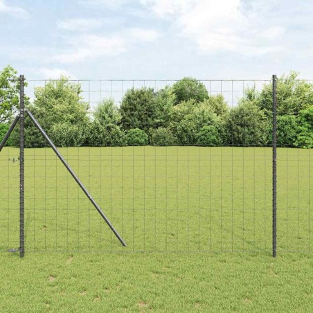 Clôture Euro Gris 1,6 x 10 m Fer revêtu de PVC 522692522692