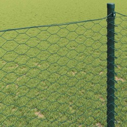 Clôture hexagonale Vert 0,8 x 50 m PVC 522706522706