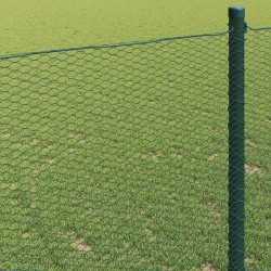 Clôture hexagonale Vert 1,4 x 10 m PVC 522741522741