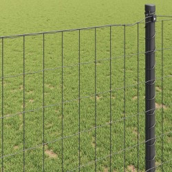 Clôture Euro Gris 0,4 x 25 m Fer revêtu de PVC 522753522753