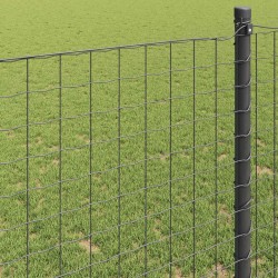 Clôture Euro Gris 0,6 x 10 m Fer revêtu de PVC 522776522776