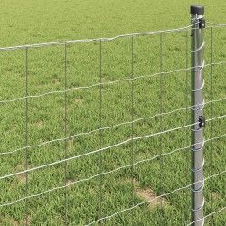 Clôture Euro 0,4 x 10 m Fer revêtu de PVC 522785522785