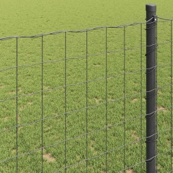 Clôture Euro Gris 0,4 x 25 m Fer revêtu de PVC 522791522791