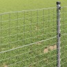 Clôture Euro 0,8 x 10 m Fer revêtu de PVC 522830522830