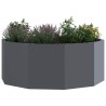 Jardinière Anthracite 90 x 90 x 35 cm Acier 523094523094