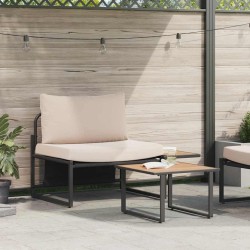 Ensemble de canapé de jardin 2 pcs Taupe Acier 523486523486
