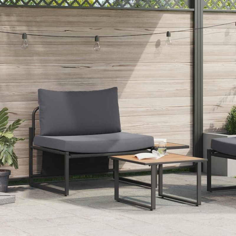 Ensemble de canapé de jardin 2 pcs Anthracite Acier 523487523487