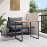 Mobilier de Patio en Acier 2 pcs Anthracite Acier 523500523500