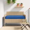 Set de coussins de palette 2 pcs Bleu royal 100 x 40 x 8 cm 523613523613