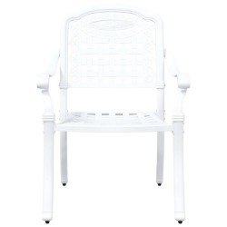Chaise de jardin 2 pcs Blanc 55 x 56,5 x 91cm Aluminium 523662523662