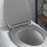 Siège de toilette Gris 47 x 37,5 x 3,8 cm Duroplast 523676523676