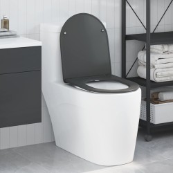 Siège de toilette Anthracite 47 x 36 x 3,4 cm Duroplast 523690523690