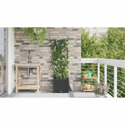 Cache-pot de jardin Noir 40 x 40 x 142 cm Plastique 523731523731
