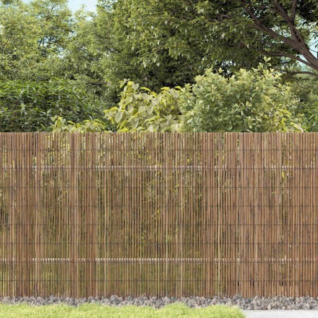 Clôture de jardin Naturel 600 x 140 cm Roseau 523777523777