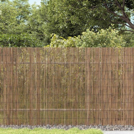 Clôture en Roseau Naturel 500 x 160 cm Roseau 523779523779