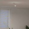 Spot de plafond avec des projecteurs Blanc 8 x 8 x 14 cm Métal 523804523804