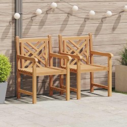 Chaise de jardin 2 pcs 60 x 58 x 90 cm Bois de teck massif 523910523910